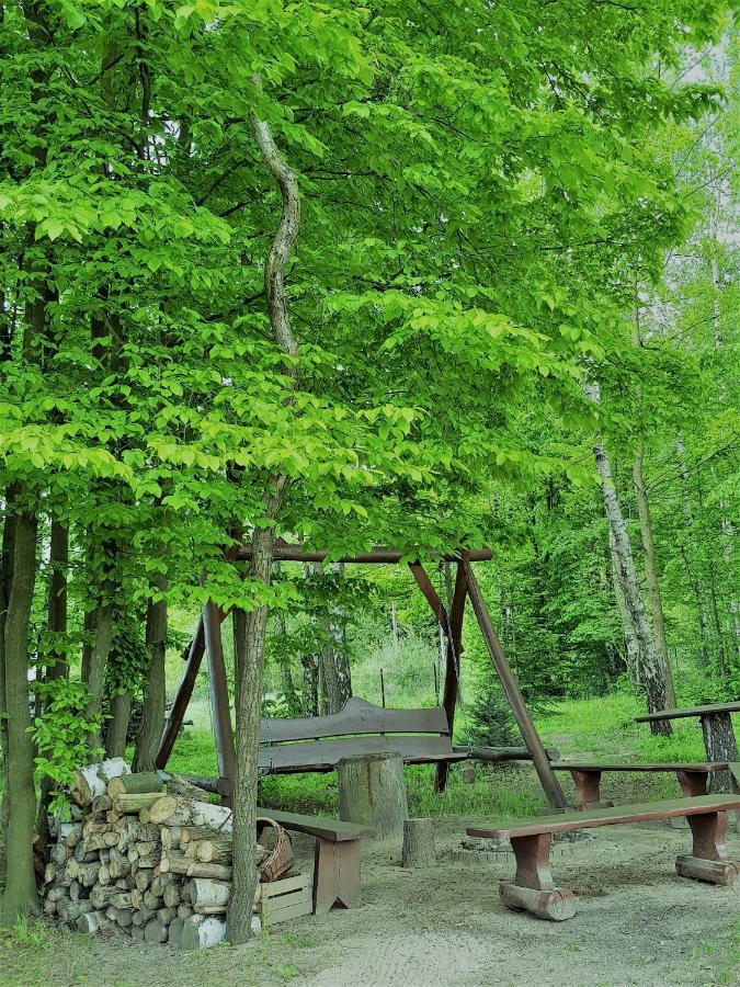 Agroturystyka "Pod Lysica" Swieta Katarzyna  Exterior foto